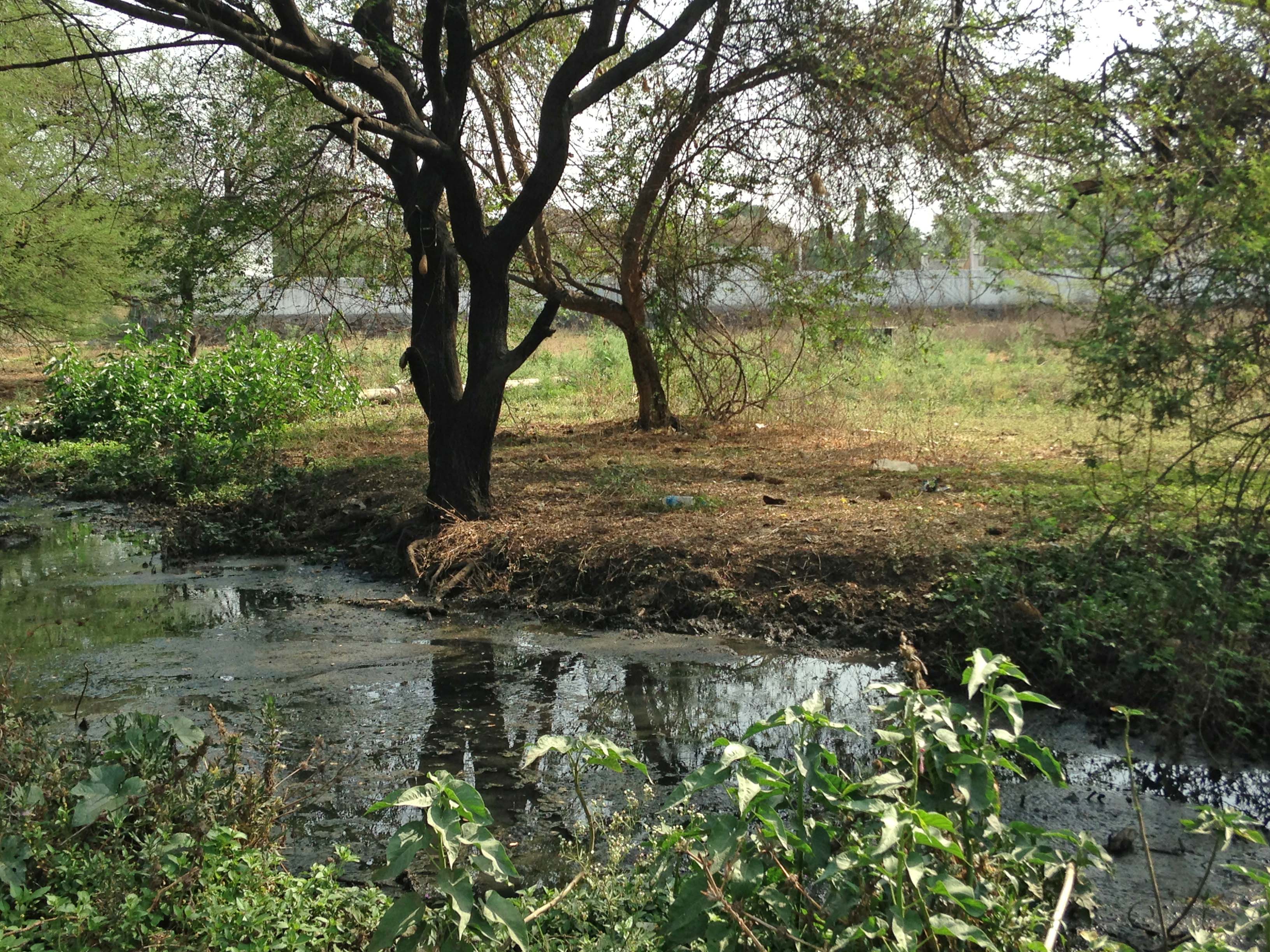 Integrated Water Cycle in Indian Cities