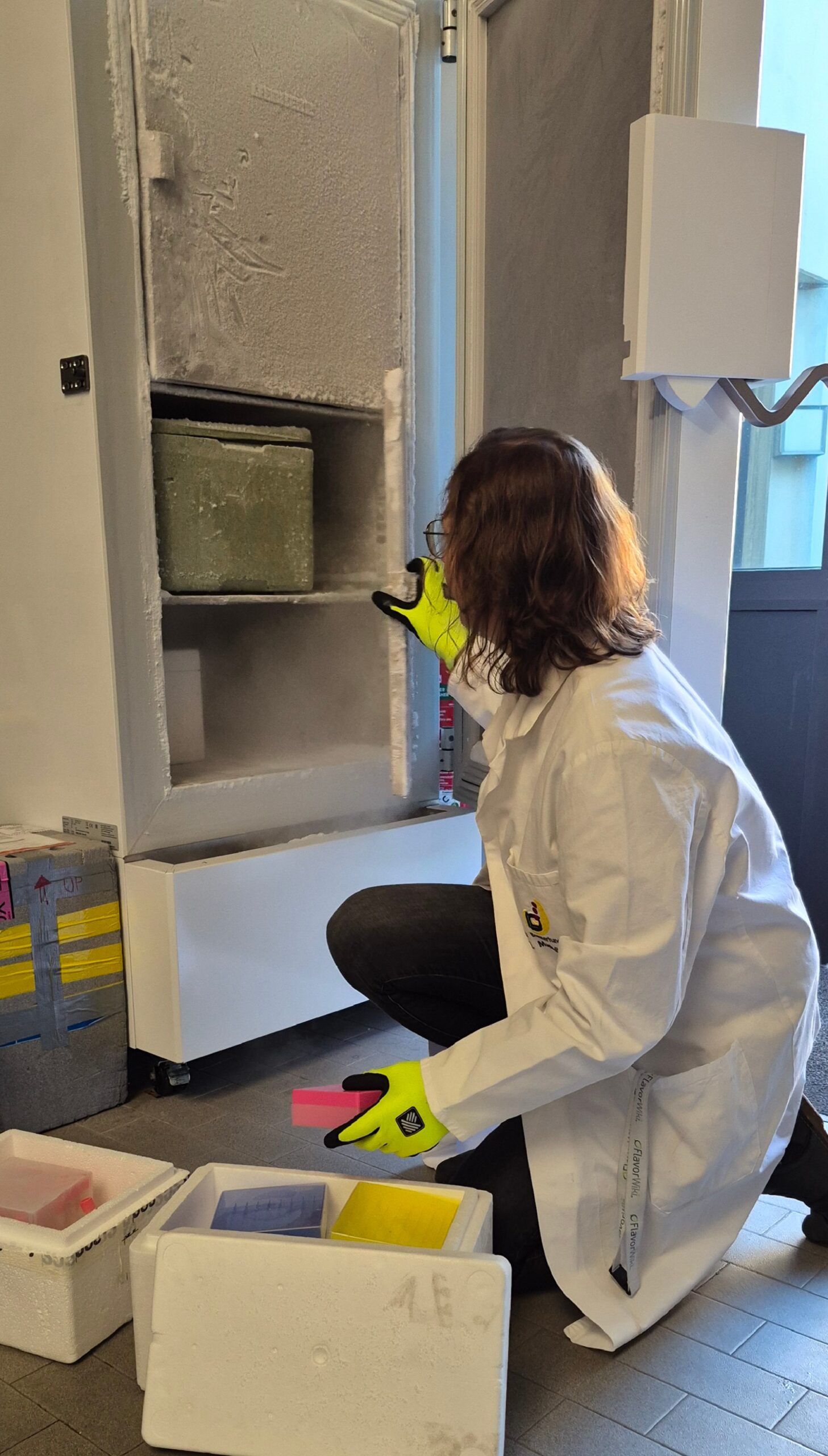 SHIFT2HEALTH Querschnittsuntersuchung abgeschlossen